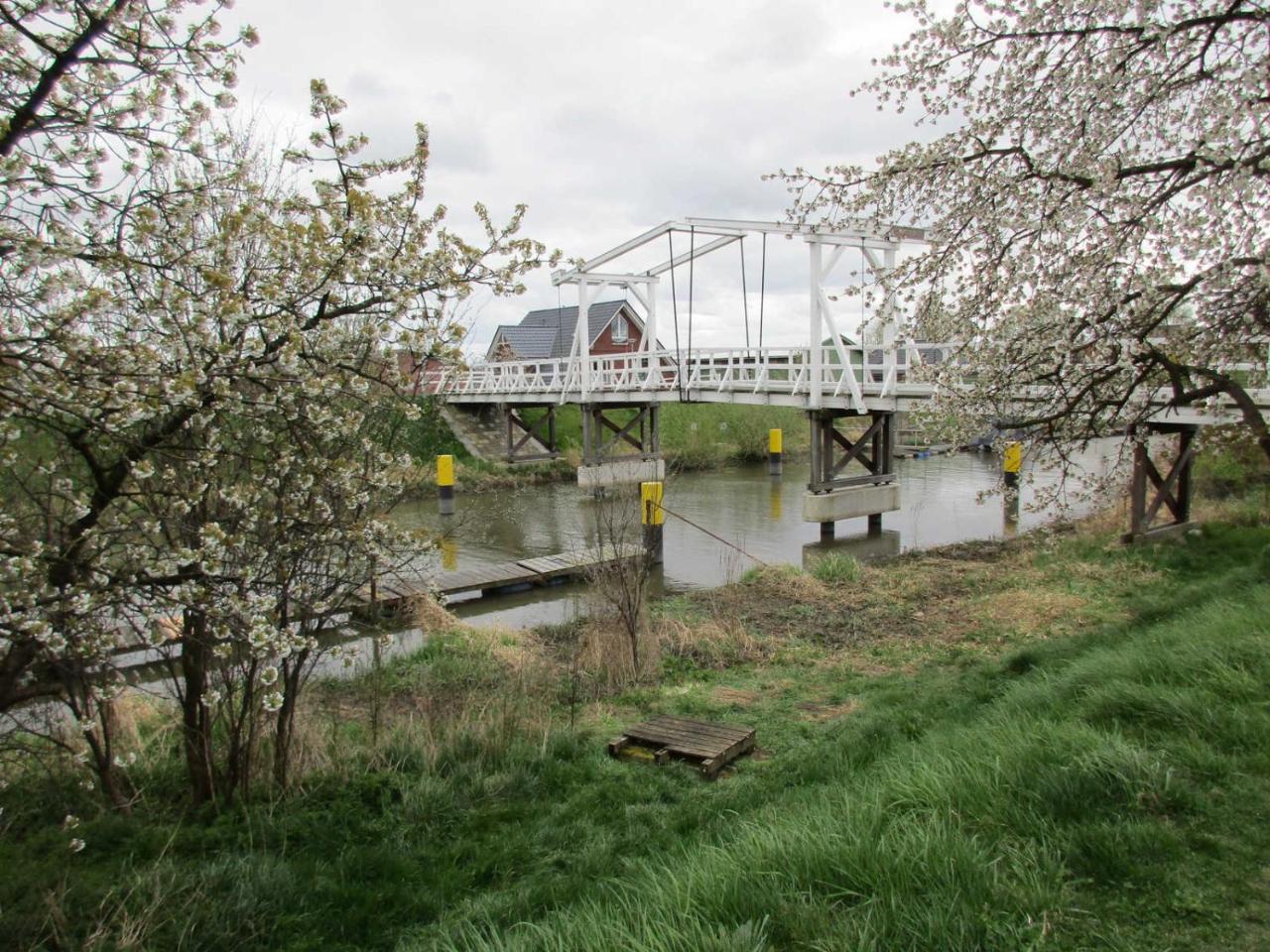 Ferienwohnung Altes Land Familie H Steinkirchen  Extérieur photo